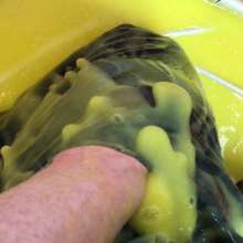 permamarka: Levis Pocket Gunge Eruption