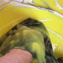 permamarka: Levis Pocket Gunge Eruption