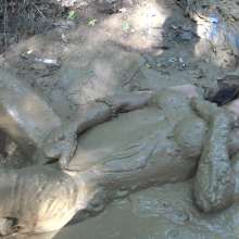 Jayce: Mud Test-Hunters, Get Lewd 4 the Dude, Cum Film Me!  in Kentucky Mud!