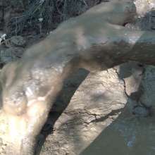 Jayce: Mud Test-Hunters, Get Lewd 4 the Dude, Cum Film Me!  in Kentucky Mud!