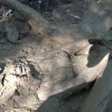 Jayce: Mud Test-Hunters, Get Lewd 4 the Dude, Cum Film Me!  in Kentucky Mud!