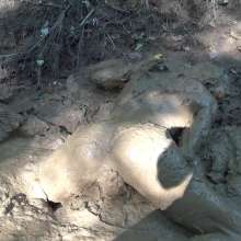 Jayce: Mud Test-Hunters, Get Lewd 4 the Dude, Cum Film Me!  in Kentucky Mud!