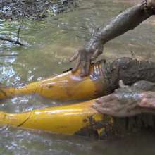 Jayce: Mud Test-Hunters, Get Lewd 4 the Dude, Cum Film Me!  in Kentucky Mud!