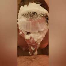 curiousvixen84: Quick Blow Job and 2 Pies
