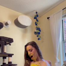 Slimed Models: 