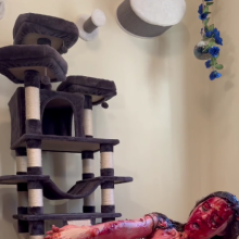 Slimed Models: 