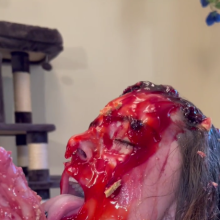 Slimed Models: 