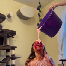 Slimed Models: 