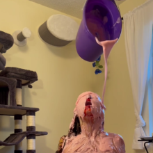 Slimed Models: 