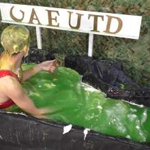 GungeMad: Swamp Scavenger:02
