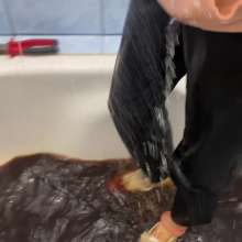 Wet Live Team: Anastasia and Chaos in the Bathroom, My Converse Is Over