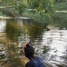 Your Wet Cat: Dirty Lady Fun in a Dense Swamp!  Part 2