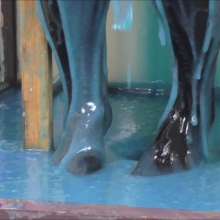 RevSlymsford: Your Girlfriend Lottii Rose Gunged In Pantyhose / Tights