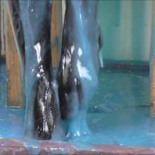 RevSlymsford: Your Girlfriend Lottii Rose Gunged In Pantyhose / Tights