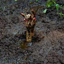dlodoski: Summer's Swamp Adventure--Photos