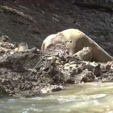 Jayce: On Tuesday's We wear Mud!  ha!  jayce+mel's Erotic Thick Mud Play!