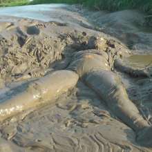 DungeonMasterOne: Rosemary's Mud Yoga