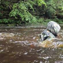 WetandMuddy: Video 91--Slippery When Wet