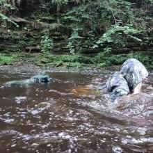 WetandMuddy: Video 91--Slippery When Wet