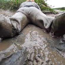 WetandMuddy: Video 93--Marsh Mellow