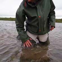 WetandMuddy: Video 93--Marsh Mellow