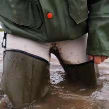 WetandMuddy: Video 93--Marsh Mellow
