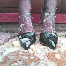 Stickyfeet: Apple with heels and stockings wash off