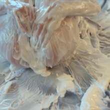 Your Wet Cat: 2 Unforgettable Massage with a Happy Ending--Big Pleasure