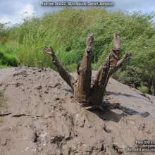 DungeonMasterOne: Maximum Mud Maude!  A wonderful fully-clothed total coverage mud frolic.