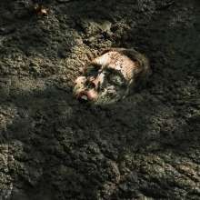 QS4Ever: Black Bottomless Forest Mud: Tiny