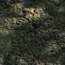 QS4Ever: Black Bottomless Forest Mud: Tiny