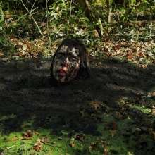QS4Ever: Black Bottomless Forest Mud: Tiny