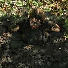 QS4Ever: Black Bottomless Forest Mud: Tiny