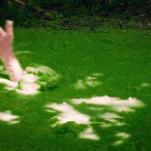 QS4Ever: Environmental Pollution: Angel