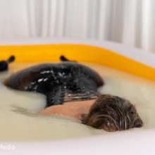DMarieAllWet: Erotic Dominatrix Covered in Slime