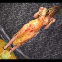 noise: Fi Stevens: Summer Dress And Slime