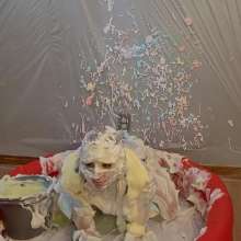 Megztd: Foam Play