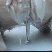 wamtec: Gunge Tank--Renna Ryan Solo