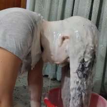 SarahPie: Head Dunked in White Slime