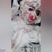 Hikari-Studio-Wam: Hikari the Sexy Clown