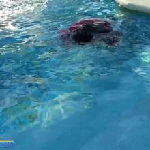 Hikari-Studio-Wam: I Am Happy Immersed in the Pool.