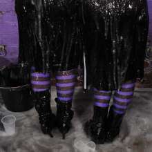 DungeonMasterOne: Kinky Dirndls with Honeysuckle and Miss Abigail
