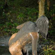dlodoski: Mina, Messy in Deep Mpvbleck--Photos