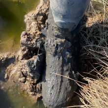 MuddySideUp: Muddy Dark Blue Wellies02