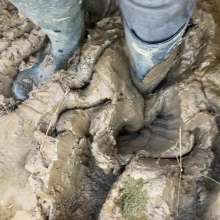 MuddySideUp: Muddy Dark Blue Wellies02