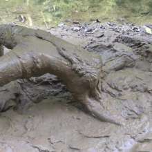Jayce: Muddy Pudding-Satin and Stockings-Cumming in Mud!