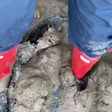 MuddySideUp: Muddy Red Hunters 03
