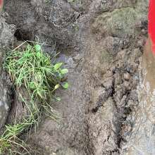 MuddySideUp: Muddy Red Hunters 03