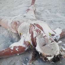 Alana SexyMessyBabes: Naughty on the Beach