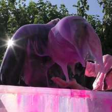 LiquidX: The Messyworld Summer Games: Janey Vs Samantha 04